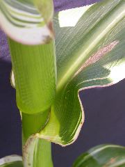 1670_j1_810B_4120
