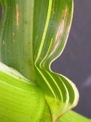 1670_j1_810B_4125