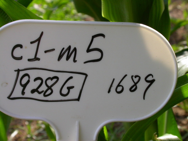 1689_c1-m5_928G_2191