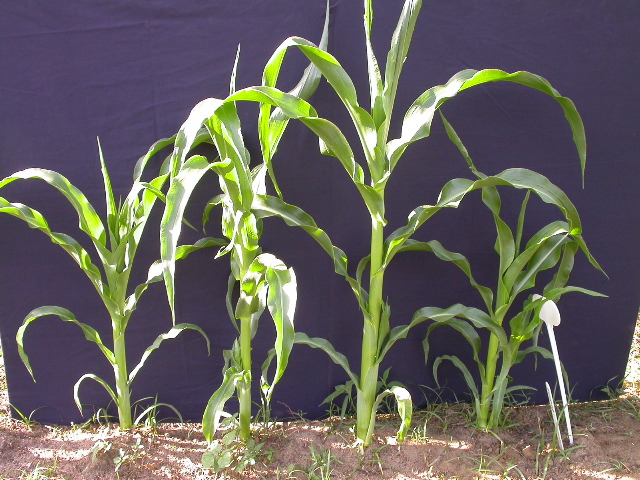 1689_c1-m5_928G_2202