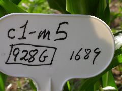 1689_c1-m5_928G_2191