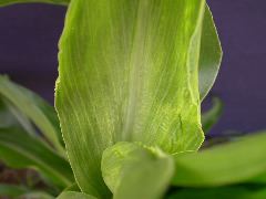 1689_c1-m5_928G_2205