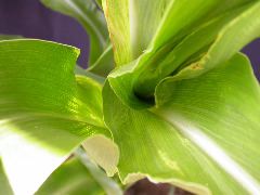 1689_c1-m5_928G_2207