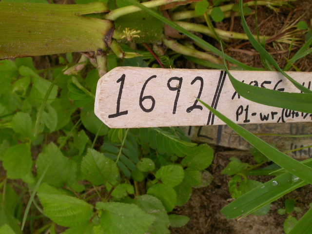 1692_ufo1_X03G_4152