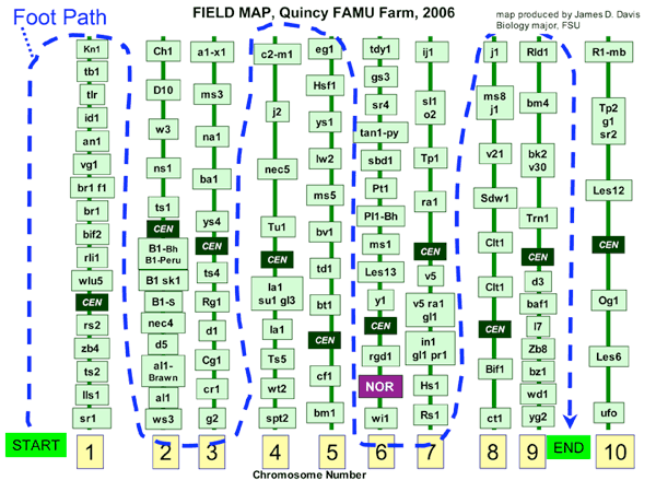 Field Map