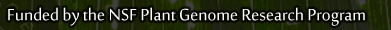 pgrp