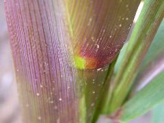 1584_B1_219K_1566