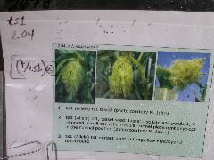 1573_ts1_207B_2588