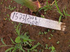 1573_ts1_207B_3001