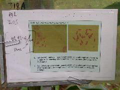 1573_ts1_207B_3004