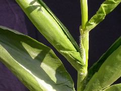 1591_cr1_301A_3053