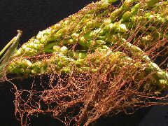1610_ts5_402D_3023