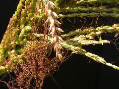 1610_ts5_402D_3025