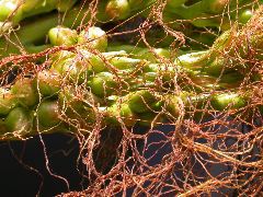 1610_ts5_402D_3027