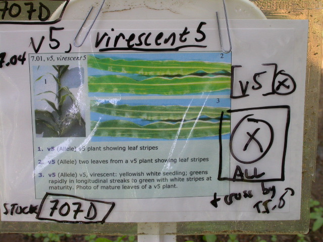 1657_v5_707D_2936