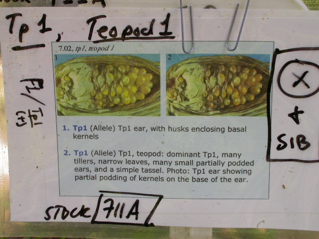 1659_Tp1_711A_4101