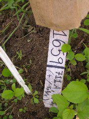 1659_Tp1_711A_4100