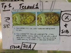 1659_Tp1_711A_4101