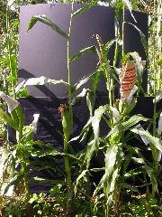 1659_Tp1_711A_4110