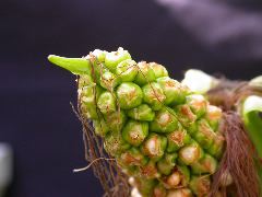 1659_Tp1_711A_4112