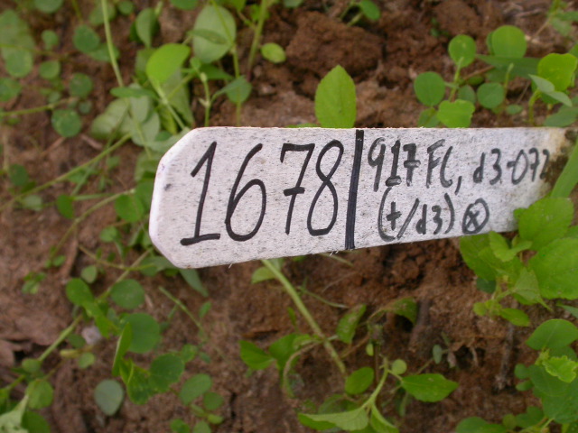 1678_d3_917FC_4127