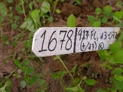 1678_d3_917FC_4127