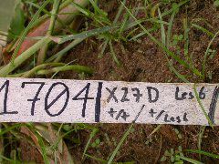1704_Les6_X27D_2739