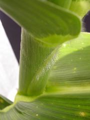 1704_Les6_X27D_2754