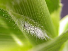 1704_Les6_X27D_2755