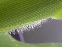 1704_Les6_X27D_2757