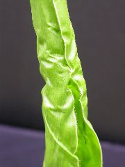 1704_Les6_X27D_2761