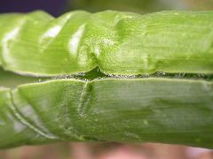 1704_Les6_X27D_2763