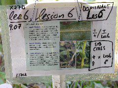 1704_Les6_X27D_2908