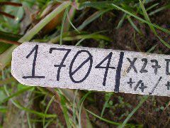 1704_Les6_X27D_2909