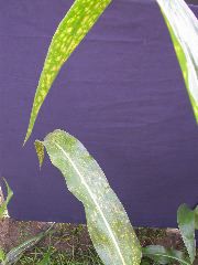 1704_Les6_X27D_2912