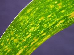 1704_Les6_X27D_2914