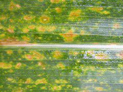 1704_Les6_X27D_2917