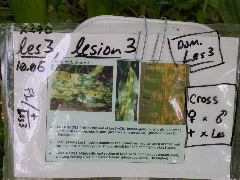 1705_Les3_X28E_2919