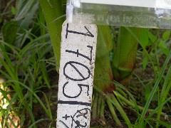 1705_Les3_X28E_2922