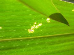 1705_Les3_X28E_2923