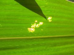1705_Les3_X28E_2925
