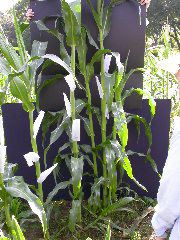 1705_Les3_X28E_2928
