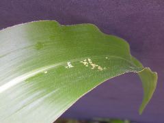 1705_Les3_X28E_2929