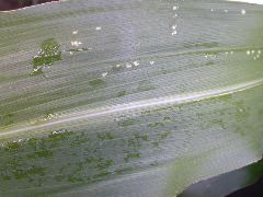 1705_Les3_X28E_2930