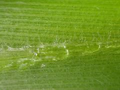 1705_Les3_X28E_2931