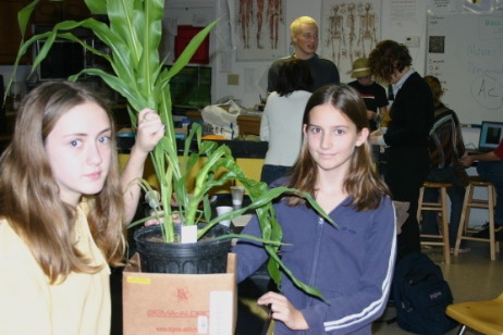 Nov20_SAS-FSU_rs2Corn1
