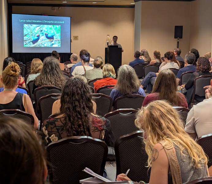 An accomplished graduate student stands before a large and attentive audience presenting his research results