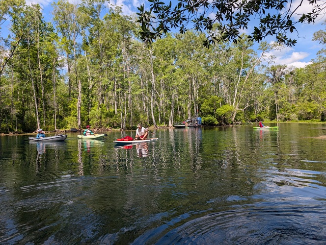 canoes on the Wacissa River