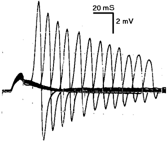 Fig. 32A. S2-EPP sums with decaying S1-EPP to yield 