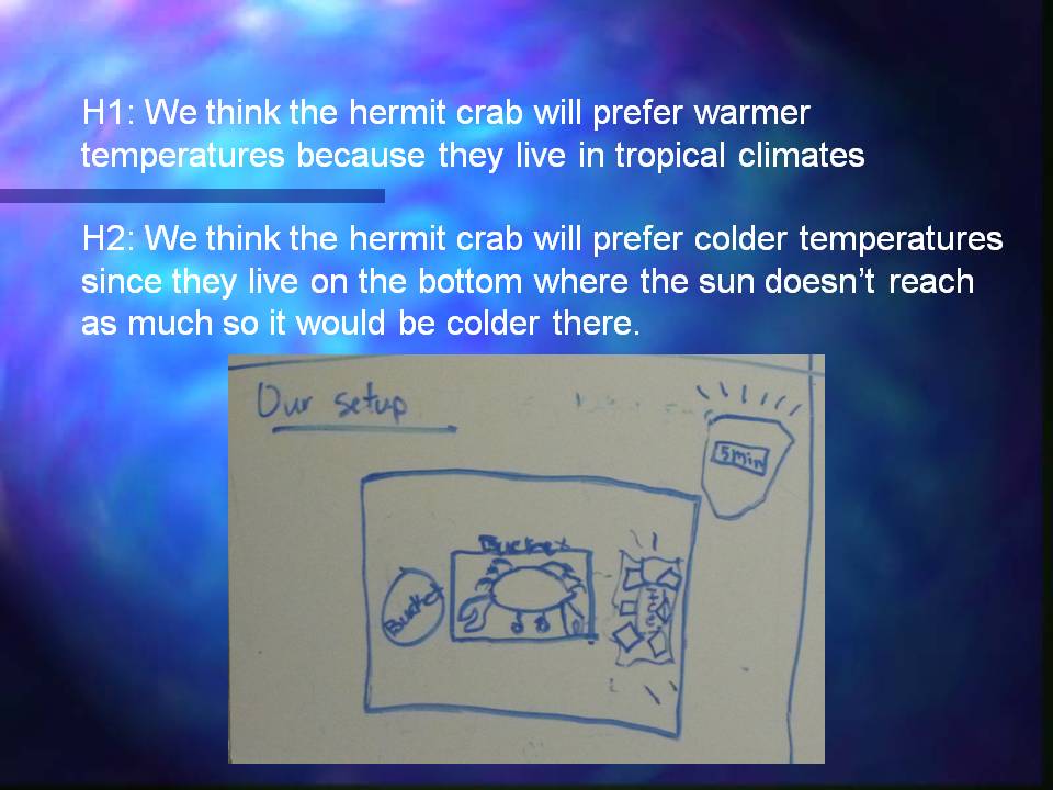 Slideshow title slide, titled 'Our Week as Marine Biologists (or maybe more appropriately... nephologists!'